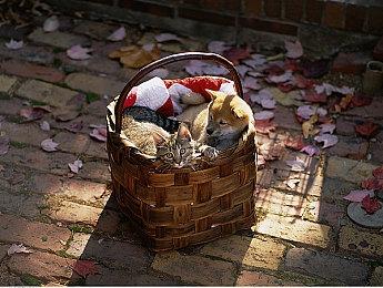 8月新游一览：《永劫无间》正式公测，《创之轨迹》登PC