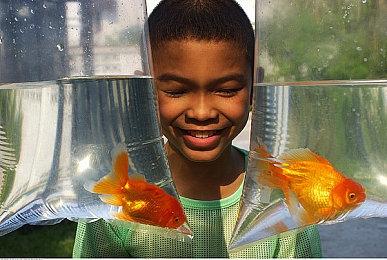 新炉石和魔兽资料片即将公布 新魔兽手游5月公开